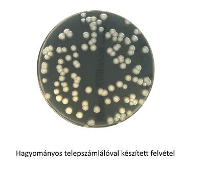 Hagyományos megvilágítású kép