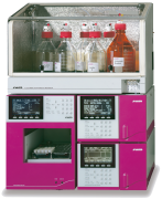 S433-DS Sykam automatic amino acid analyzer for protein hydrolyzate.