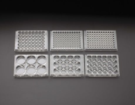 Non-treated tissue culture plates