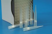 Sterile filter tips in rack, Gilson and Eppendorf, 50-1000 µl, 96 pc/rack