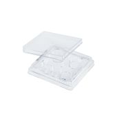 4-well cell culture plate with lid, untreated, sterile, individually wrapped, 50 pcs/pack