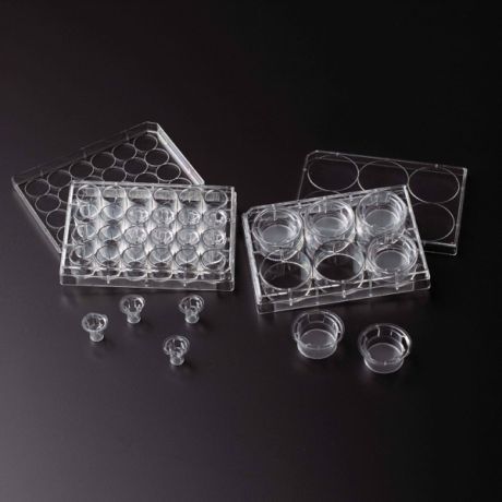 Permeable inserts in cell culture plates