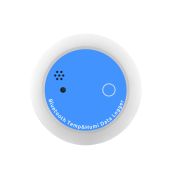 DBT-H90 Bluetooth Temperature and Humidity Data Logger (-20…+70) °C, (0…100) %RH