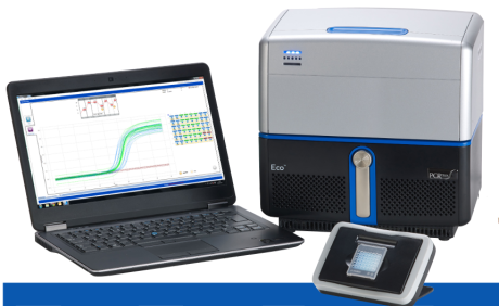 ECO 48 real-time PCR with computer