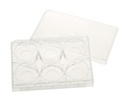 6 lyukú sejttenyésztő lemez fedéllel, üveg aljú, 3,14cm2, felületkezelt, steril, egyesével csomagolt, 5 db / csomag
