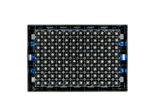 SAFE® MI500 cryotubes with internal thread, 0,5 ml volume