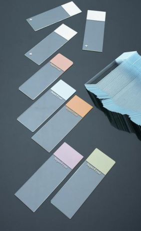 Microscope slide
