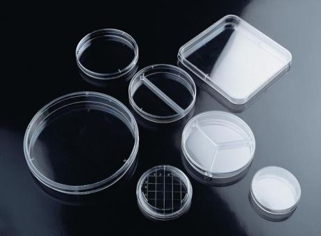 Petri dish with lid
