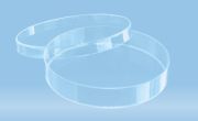 Petri dish with lid, 92 x 16.2 mm, PS, sterile, 480 pcs / box