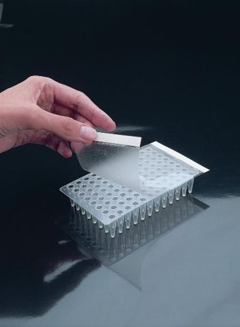 Adhesive film for sealing PCR plates