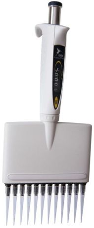 Proline Plus multichannel pipette