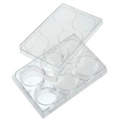 6-well cell culture plate with lid, untreated, sterile, individually wrapped, 100 pcs/pack
